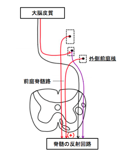 f:id:takumasa39:20160929142624p:plain