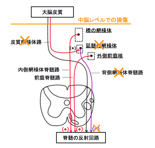 f:id:takumasa39:20160929145641p:plain