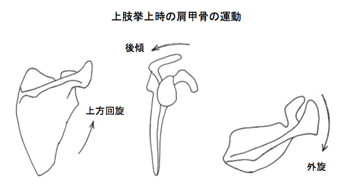 f:id:takumasa39:20170103125759p:plain