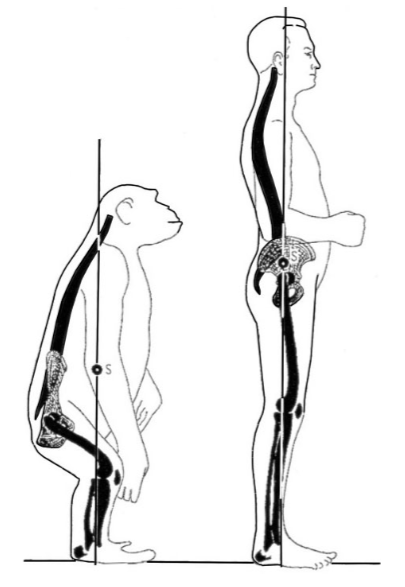 f:id:takumasa39:20170223174640p:plain