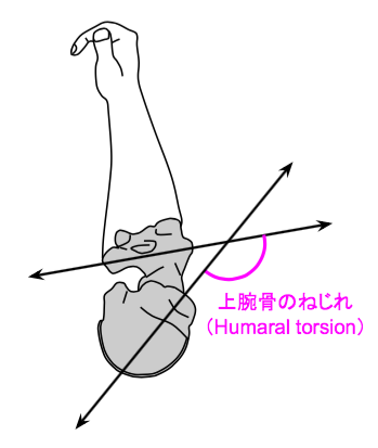 f:id:takumasa39:20170330193223p:plain