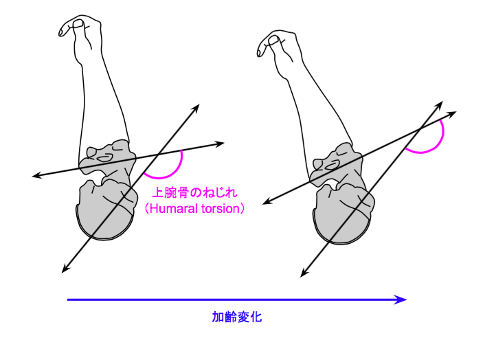 f:id:takumasa39:20170330193502p:plain