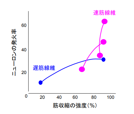 f:id:takumasa39:20170830132126p:plain f:id:takumasa39:20170830132126p:plain