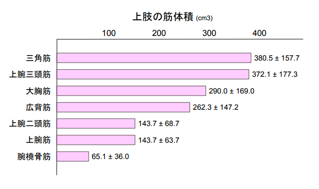 筋肉の大きさから筋トレをデザインしよう リハビリmemo