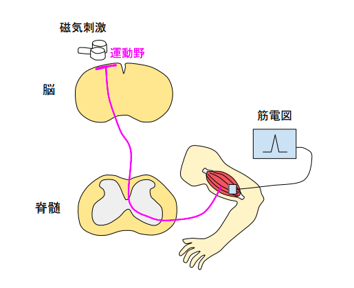 投稿詳細｜MOTOCLE