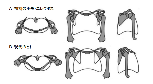 f:id:takumasa39:20171214132315p:plain