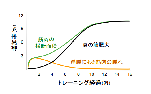 f:id:takumasa39:20180110200143p:plain