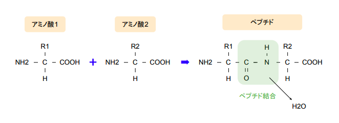 f:id:takumasa39:20180426140221p:plain f:id:takumasa39:20180426140221p:plain