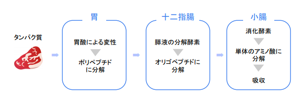 f:id:takumasa39:20180426140858p:plain f:id:takumasa39:20180426140858p:plain