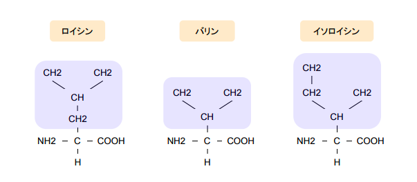 f:id:takumasa39:20180426141327p:plain f:id:takumasa39:20180426141327p:plain