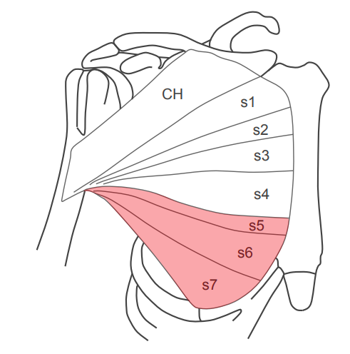 f:id:takumasa39:20180502234737p:plain