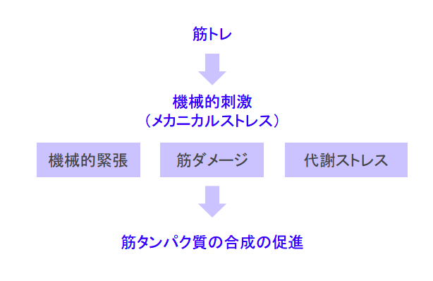 f:id:takumasa39:20180719154149p:plain