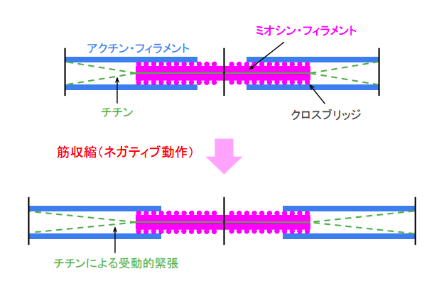 f:id:takumasa39:20180719154752p:plain