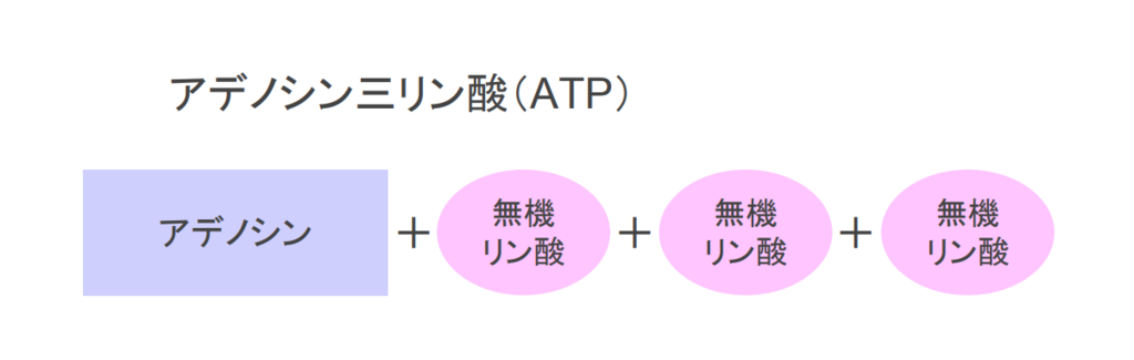 f:id:takumasa39:20181004144023p:plain