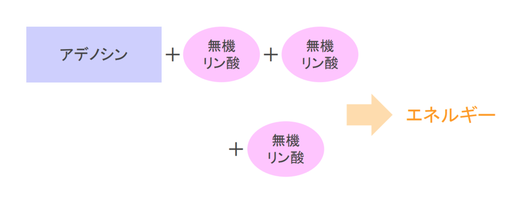 f:id:takumasa39:20181004144045p:plain