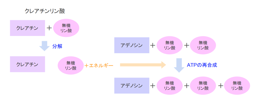 f:id:takumasa39:20181004144119p:plain