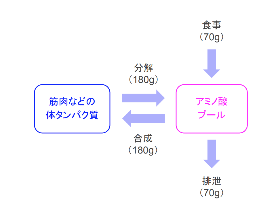 f:id:takumasa39:20181123134446p:plain