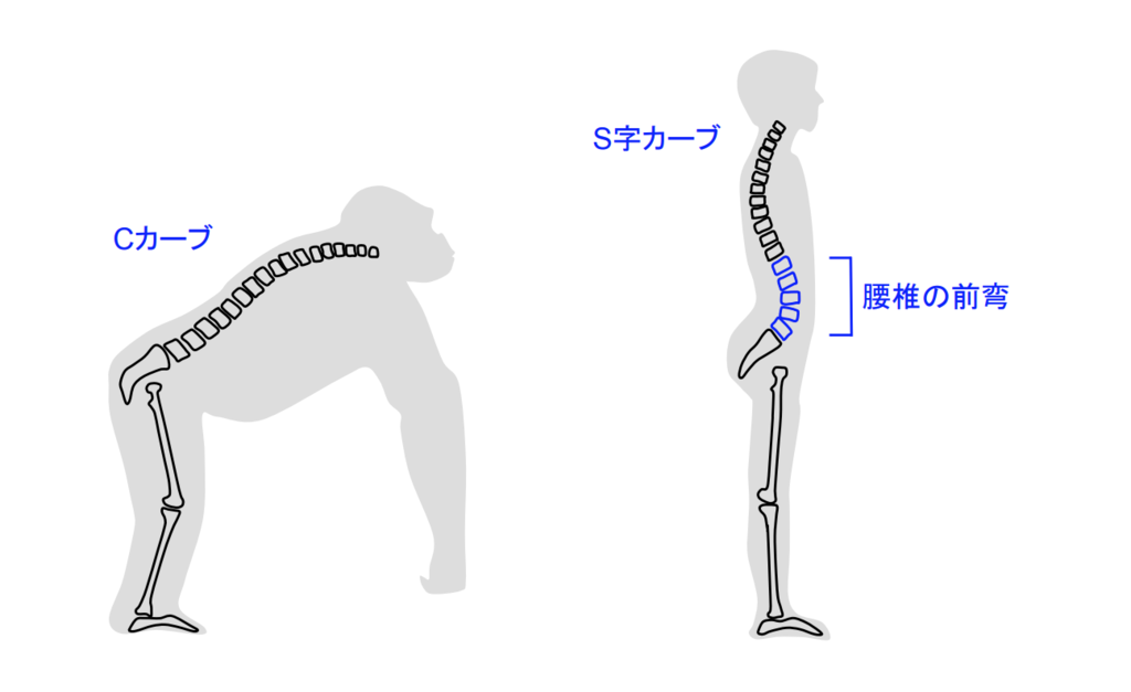 f:id:takumasa39:20190125122213p:plain
