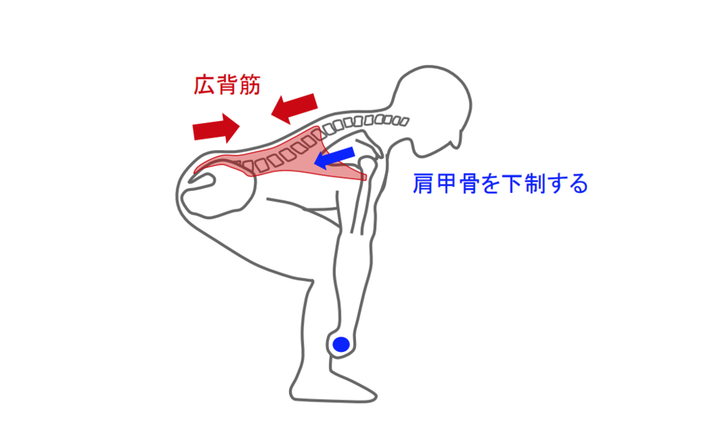 f:id:takumasa39:20190131231241p:plain f:id:takumasa39:20190131231241p:plain