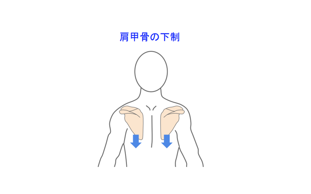 f:id:takumasa39:20190207233328p:plain f:id:takumasa39:20190207233328p:plain