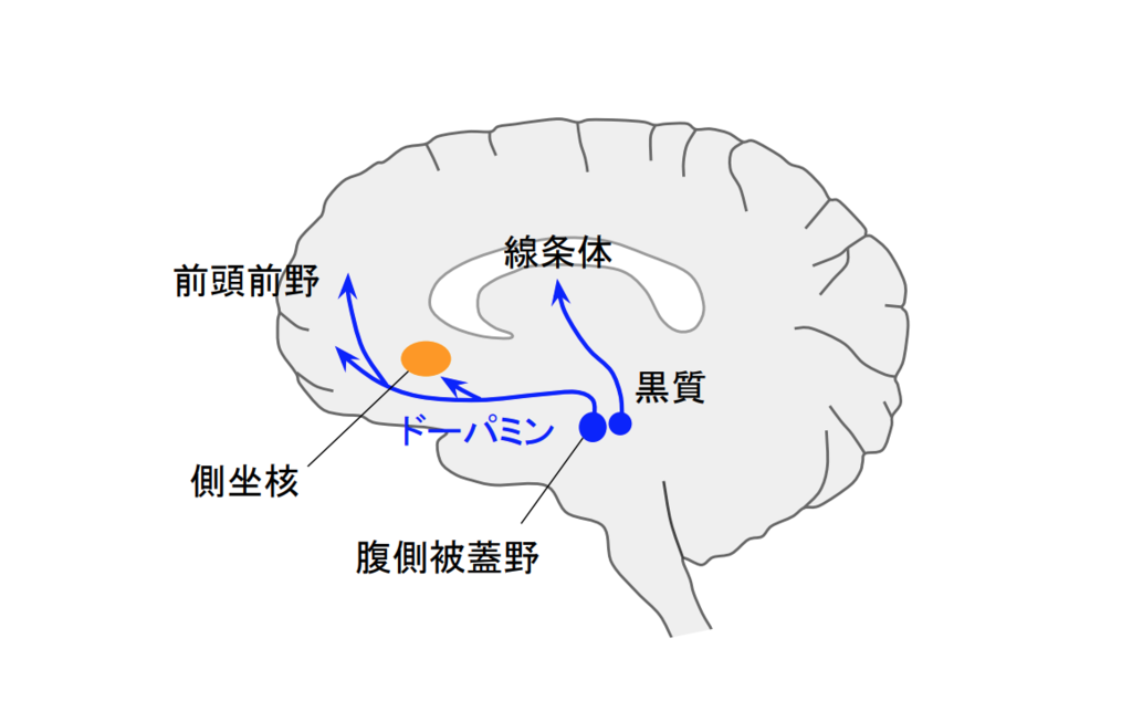 f:id:takumasa39:20190213234343p:plain