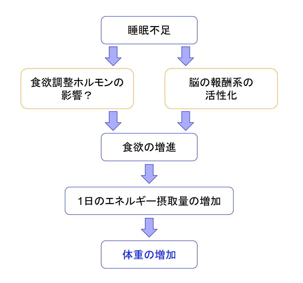 f:id:takumasa39:20190517133947p:plain