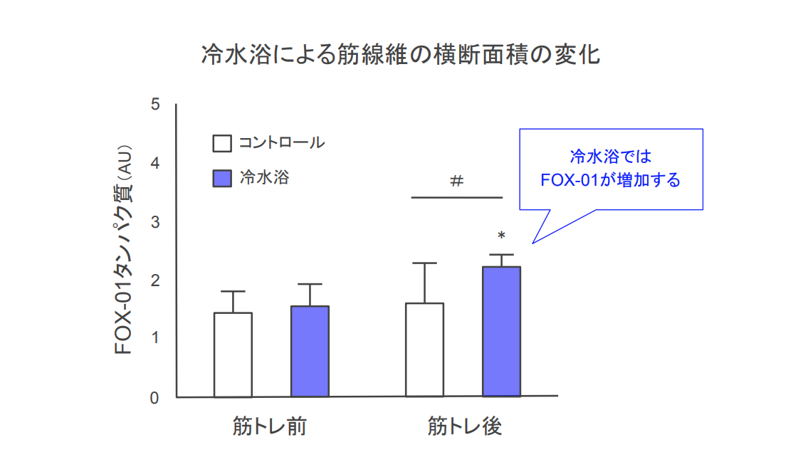 f:id:takumasa39:20190922151026p:plain