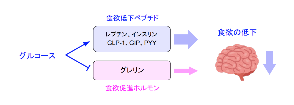 f:id:takumasa39:20200329163552p:plain