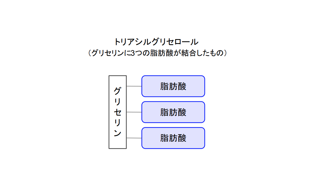 f:id:takumasa39:20200507184628p:plain f:id:takumasa39:20200507184628p:plain