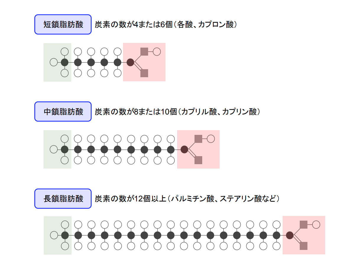 f:id:takumasa39:20200507184942p:plain f:id:takumasa39:20200507184942p:plain