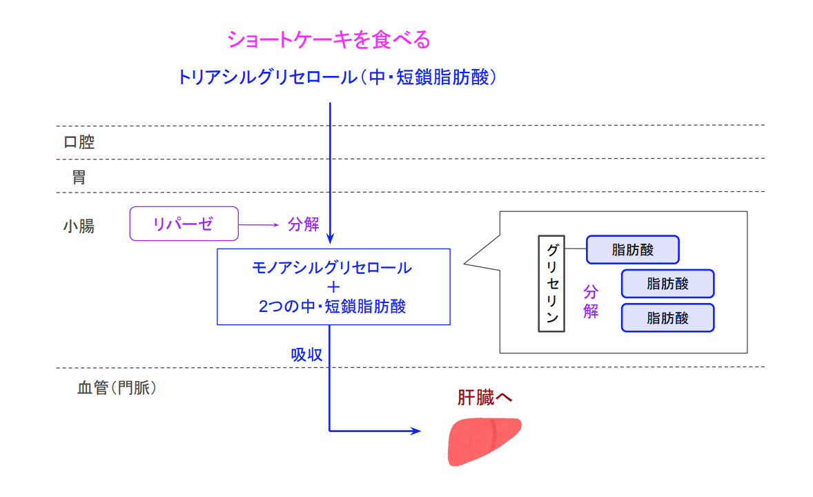f:id:takumasa39:20200507185735p:plain f:id:takumasa39:20200507185735p:plain