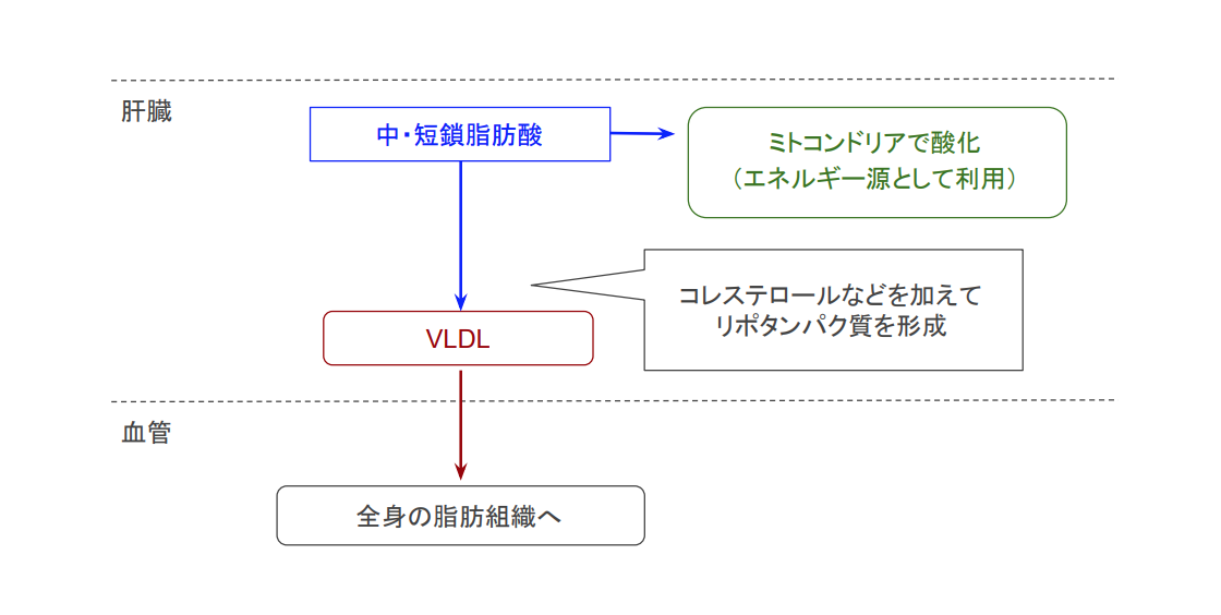 f:id:takumasa39:20200507185841p:plain f:id:takumasa39:20200507185841p:plain