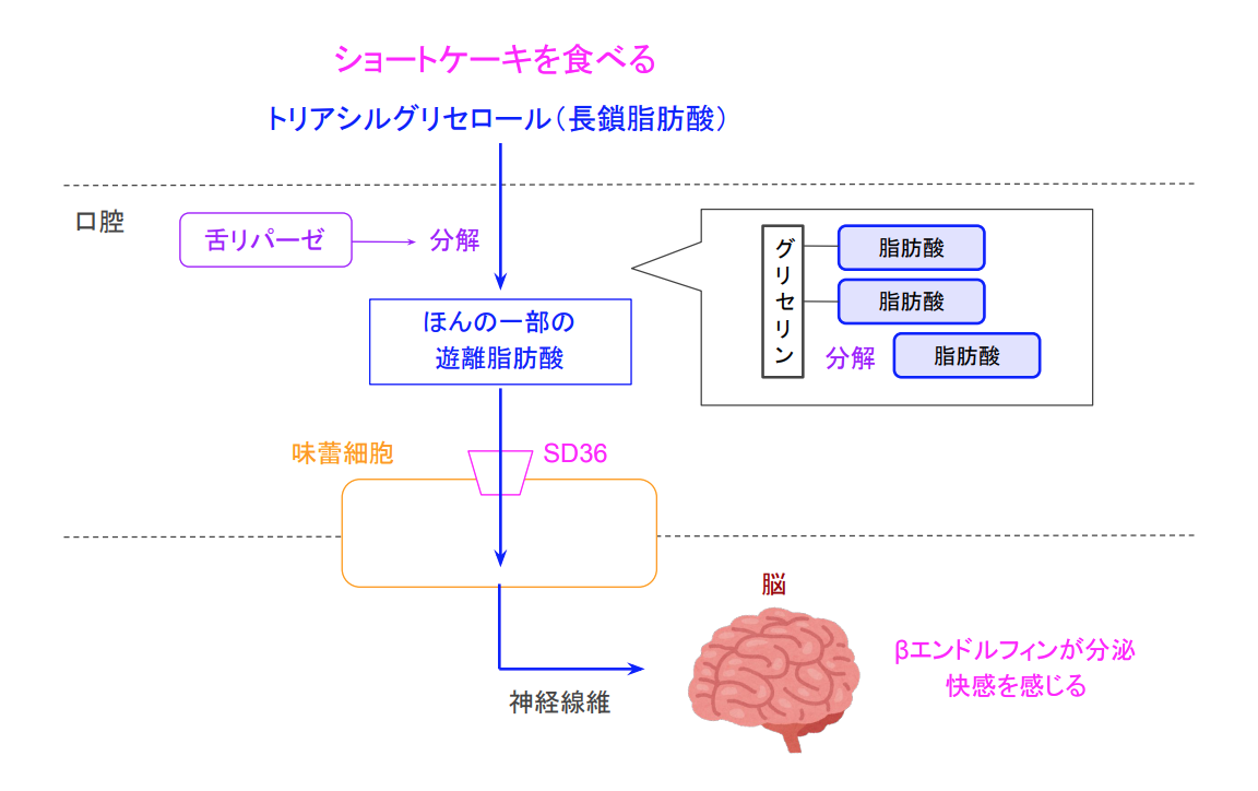 f:id:takumasa39:20200507190334p:plain f:id:takumasa39:20200507190334p:plain