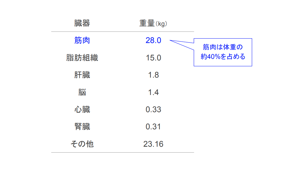 f:id:takumasa39:20200513210004p:plain