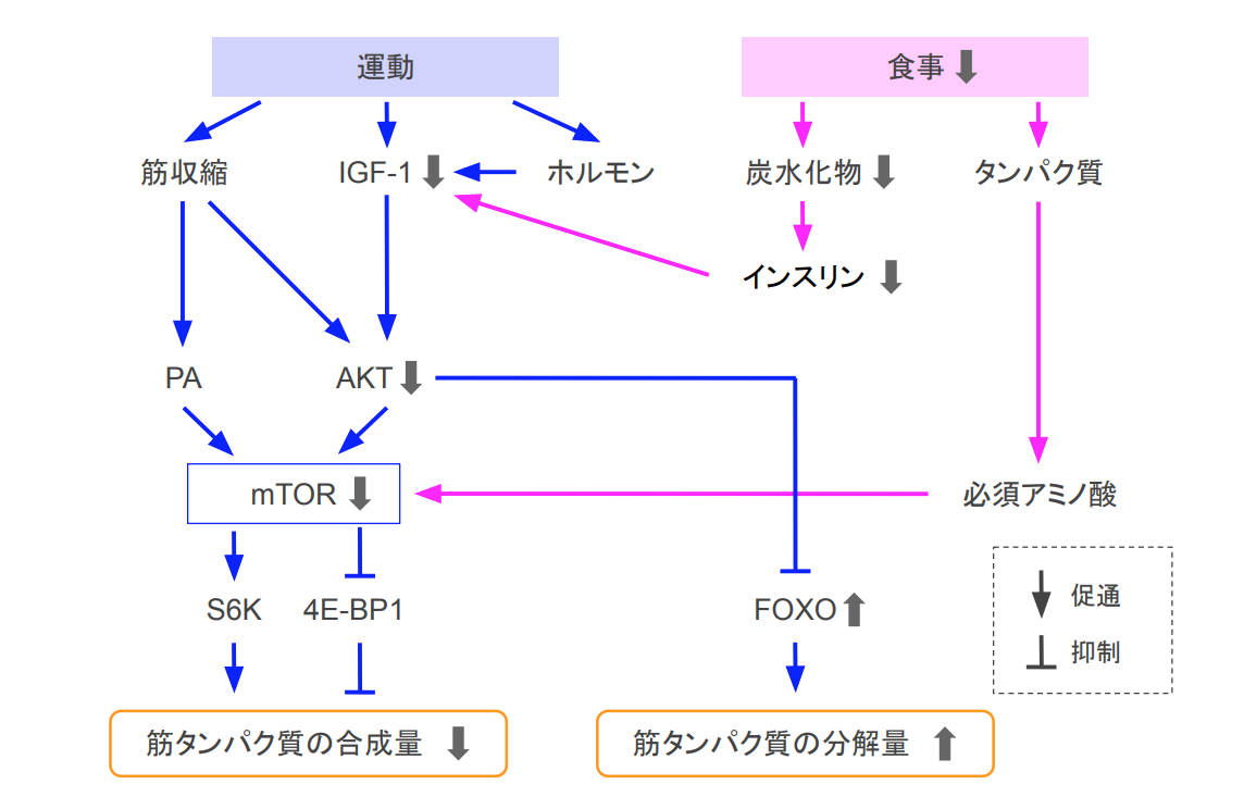 f:id:takumasa39:20200828165810p:plain