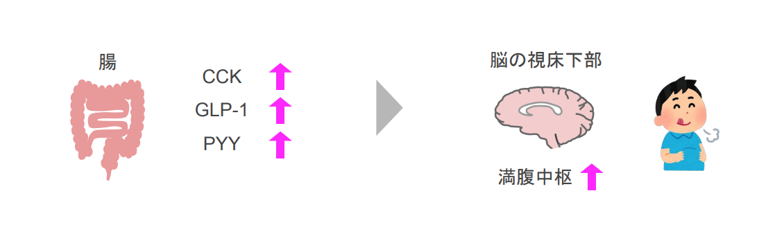 f:id:takumasa39:20200924230458p:plain
