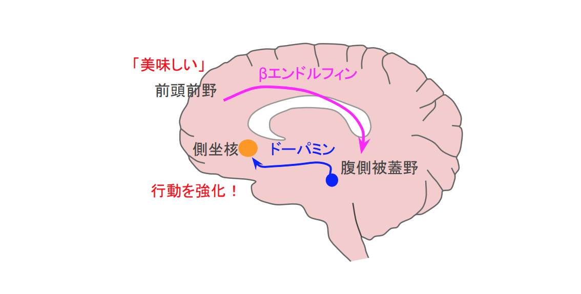 f:id:takumasa39:20200924232741p:plain