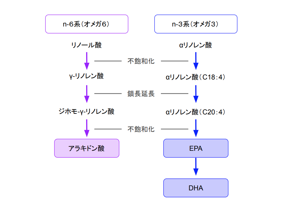 f:id:takumasa39:20201124202948p:plain