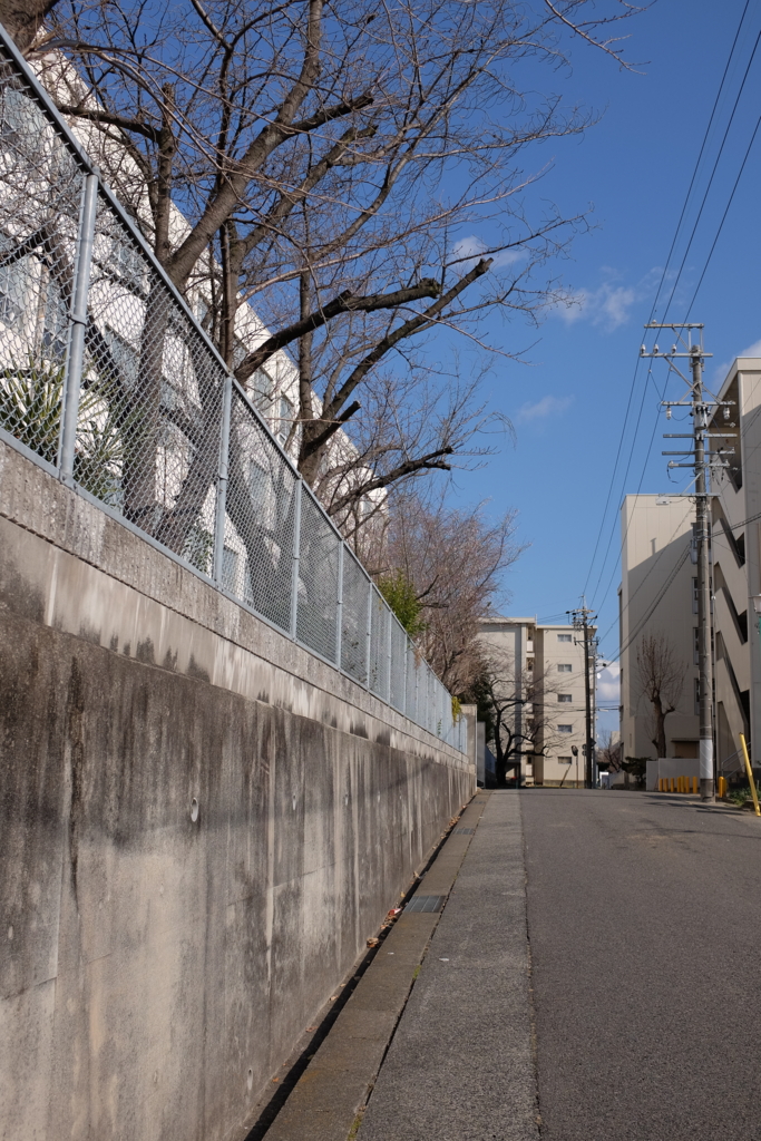 f:id:takumi-bought:20170115122906j:plain