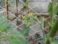 f:id:takumi-kg:20150525094916j:image:medium