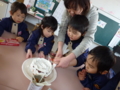 f:id:takumi-kg:20170323142142j:image:medium