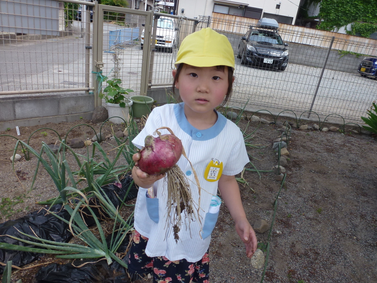 f:id:takumi-kg:20200527101117j:plain f:id:takumi-kg:20200527101117j:plain