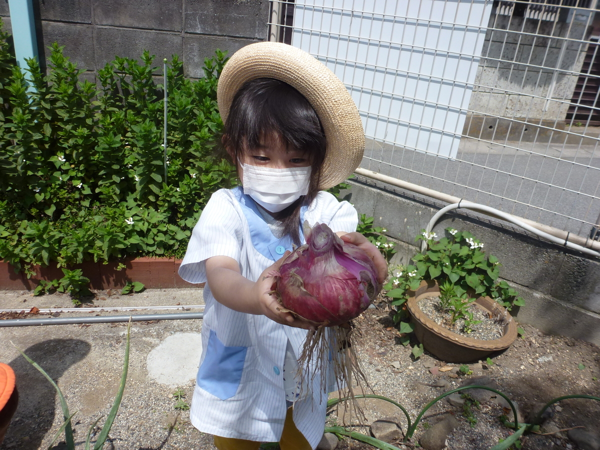 f:id:takumi-kg:20200527101800j:plain f:id:takumi-kg:20200527101800j:plain