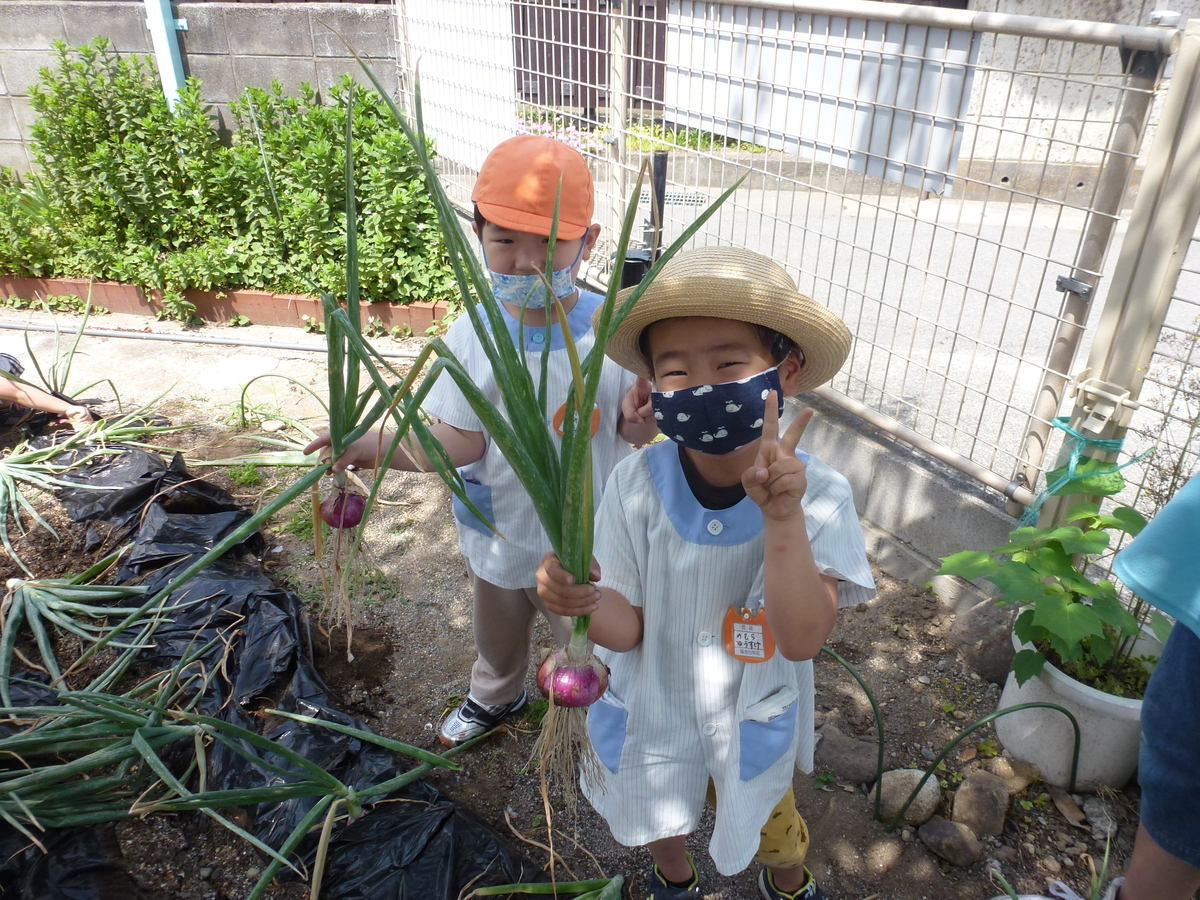 f:id:takumi-kg:20200527102030j:plain f:id:takumi-kg:20200527102030j:plain