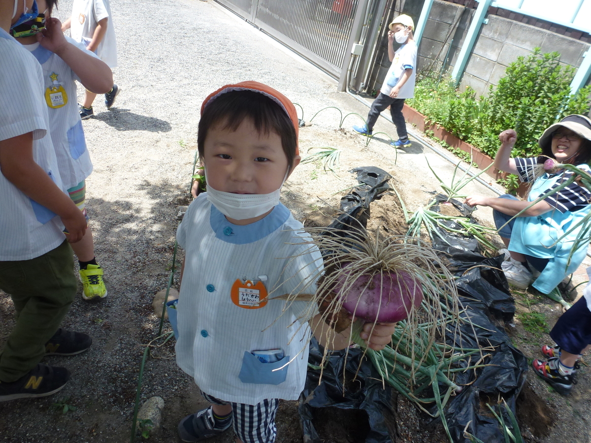 f:id:takumi-kg:20200527102131j:plain f:id:takumi-kg:20200527102131j:plain