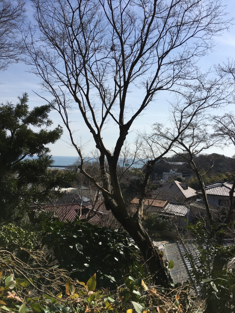 f:id:takumi_jun:20170226132110j:plain f:id:takumi_jun:20170226132110j:plain
