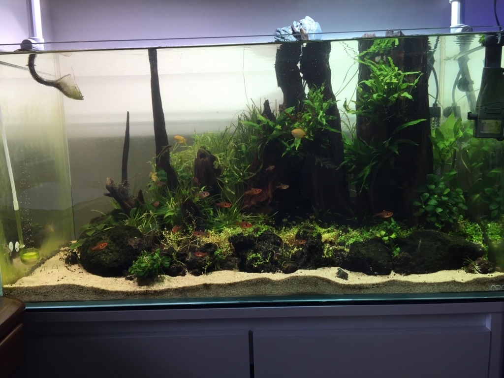 f:id:takumimoai:20171212121909j:plain f:id:takumimoai:20171212121909j:plain