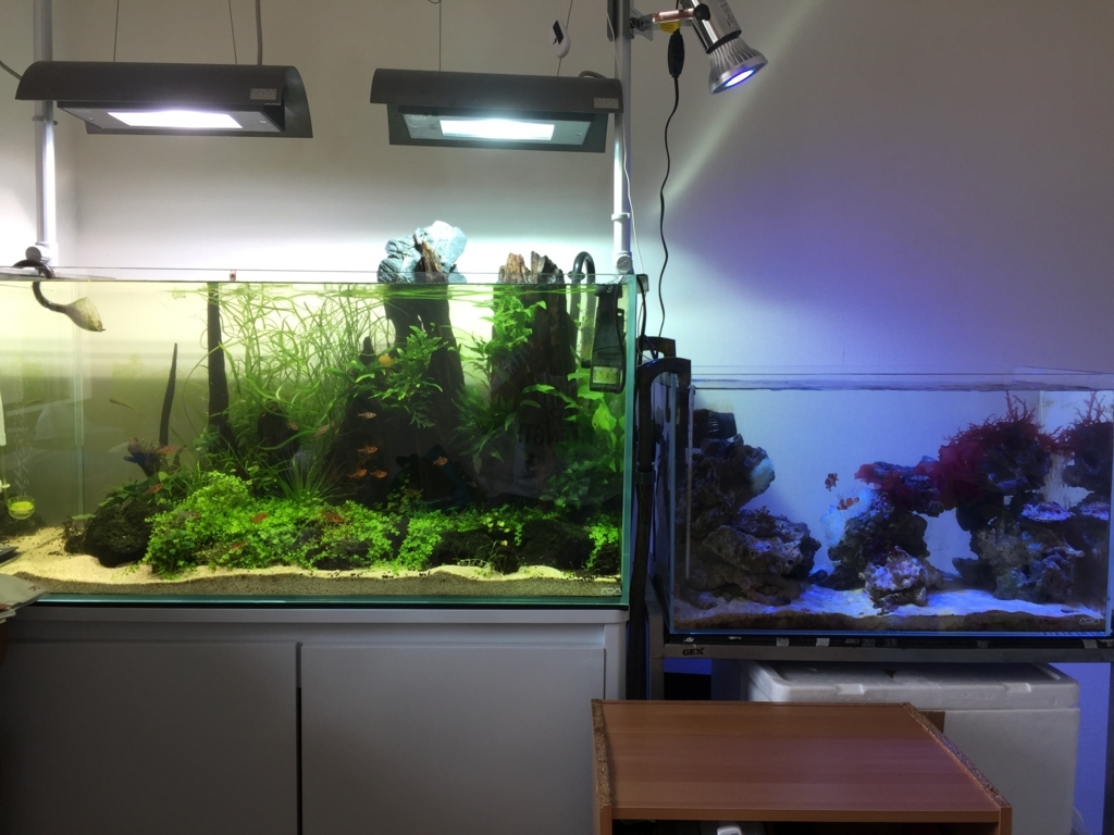 f:id:takumimoai:20171212125939j:plain f:id:takumimoai:20171212125939j:plain