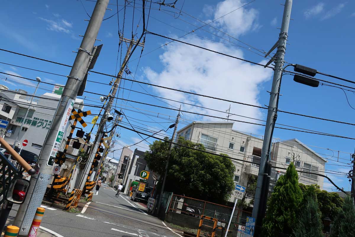 f:id:takupan2020:20200727011512j:plain