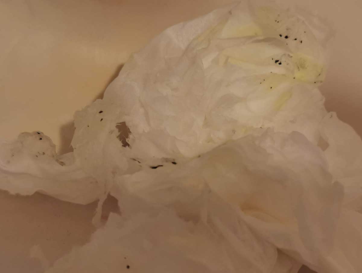 f:id:takupan2020:20201112180247j:plain